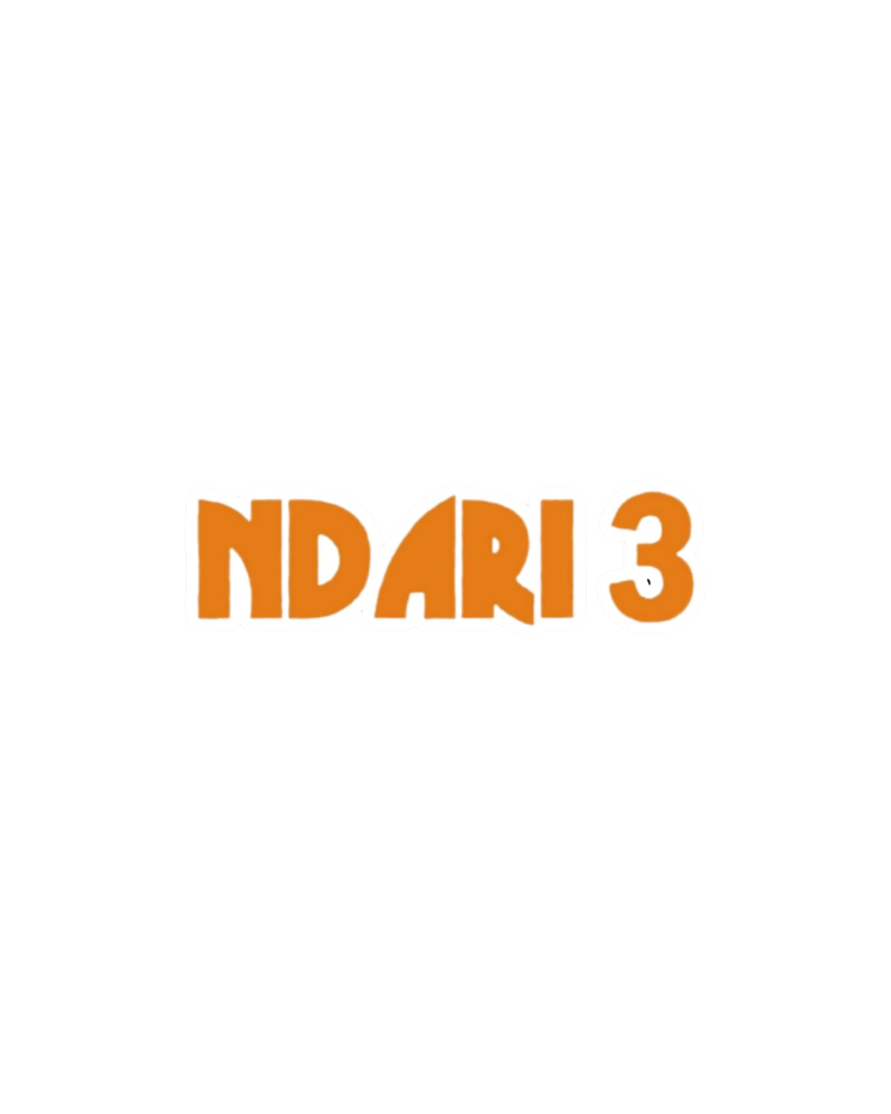 NDARI 3